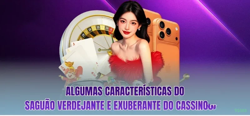 Formulário registro 91000